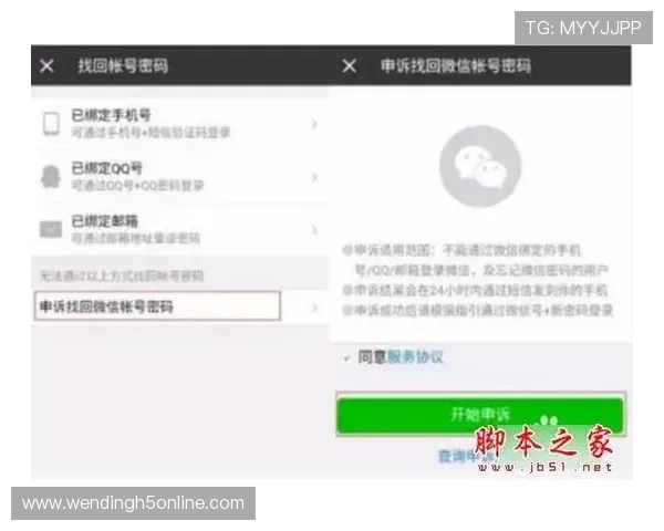 如何通过问鼎网站入口顺利注册账号并保障账号安全的实用技巧